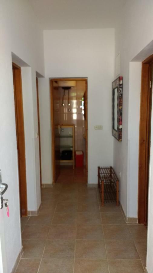 Apartments Matkovic Vir Dış mekan fotoğraf
